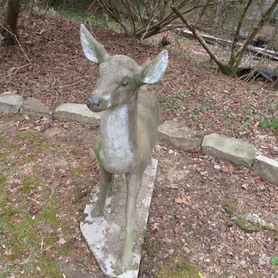 Solid Concrete Heavy Yard Doe UPDATE: Two people were able to move the buck to the back yard