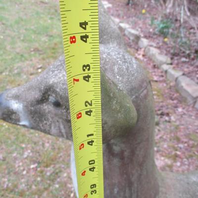 Solid Concrete Heavy Yard Doe UPDATE: Two people were able to move the buck to the back yard