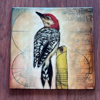 Suzy Scarborough Original Artwork of Red Bellied Woodpecker and More (LR-DZ)
