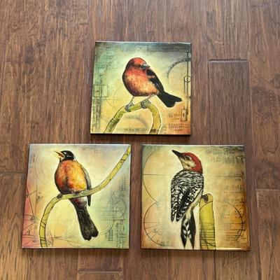 Suzy Scarborough Original Artwork of Red Bellied Woodpecker and More (LR-DZ)