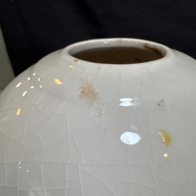 Beautiful Porcelain Vase (LR-DZ)