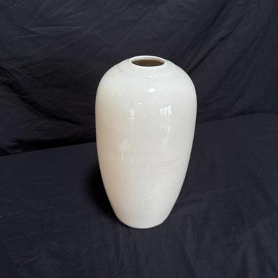 Beautiful Porcelain Vase (LR-DZ)