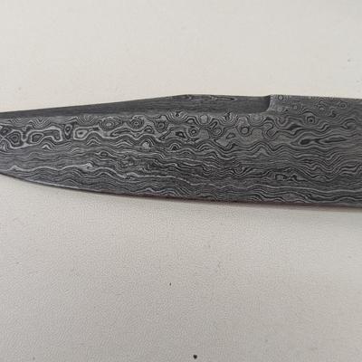 Fixed Blade Hunting Knife