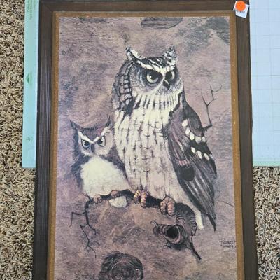 Owl art