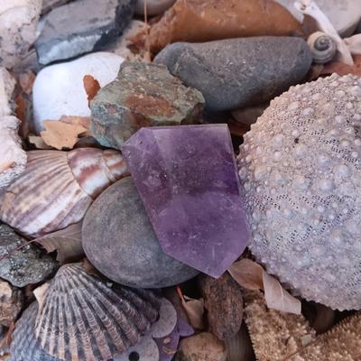 BOX OF SEASHELLS, ROCKS, CRYSTALS ETC