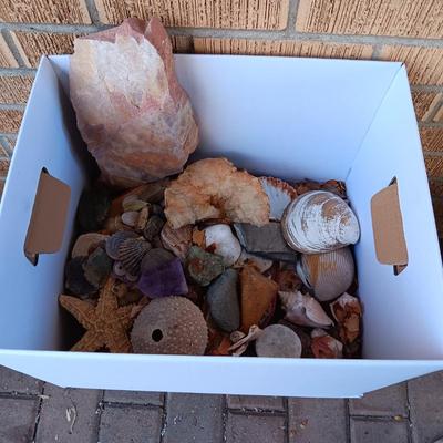 BOX OF SEASHELLS, ROCKS, CRYSTALS ETC