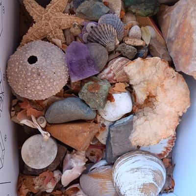 BOX OF SEASHELLS, ROCKS, CRYSTALS ETC