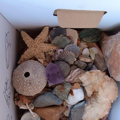 BOX OF SEASHELLS, ROCKS, CRYSTALS ETC