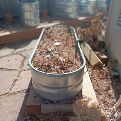 LONG, MORE SHALLOW COUNTYLINE GALVANIZED TROUGH FOR ABOVE GROUND GARDEN (Read Description)