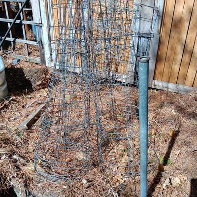 CIRCULAR TOMATO CAGES