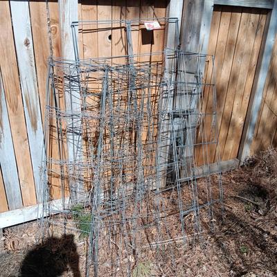 TOMATO CAGES