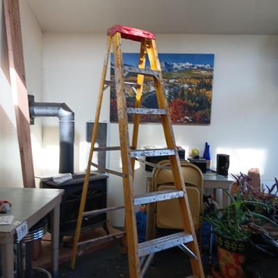 7 FOOT FIBERGLASS LADDER
