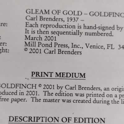 'Gleam of Gold' by Carl Brenders Signed and Numbered Print- Framed Under Glass- Approx 23 3/4" x 15 3/4"