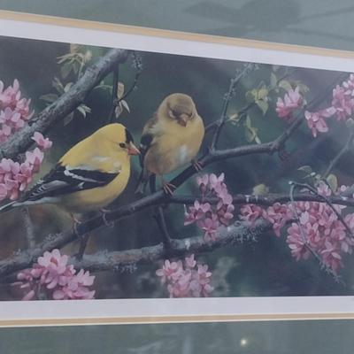 'Gleam of Gold' by Carl Brenders Signed and Numbered Print- Framed Under Glass- Approx 23 3/4" x 15 3/4"