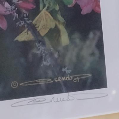 'Gleam of Gold' by Carl Brenders Signed and Numbered Print- Framed Under Glass- Approx 23 3/4" x 15 3/4"