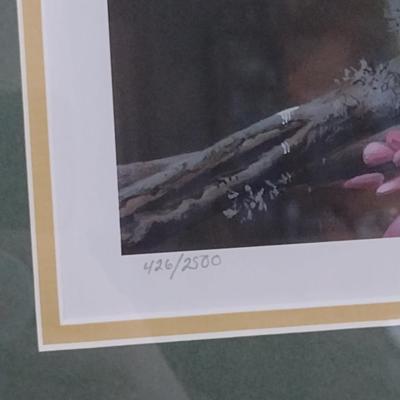 'Gleam of Gold' by Carl Brenders Signed and Numbered Print- Framed Under Glass- Approx 23 3/4" x 15 3/4"