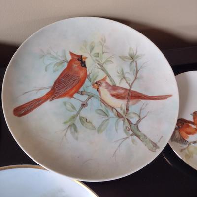 Collection of Bird Themed Plates- Mostly Hand Painted- Assorted Sizes