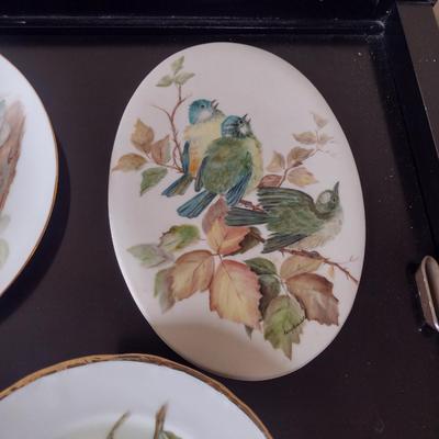 Collection of Bird Themed Plates- Mostly Hand Painted- Assorted Sizes