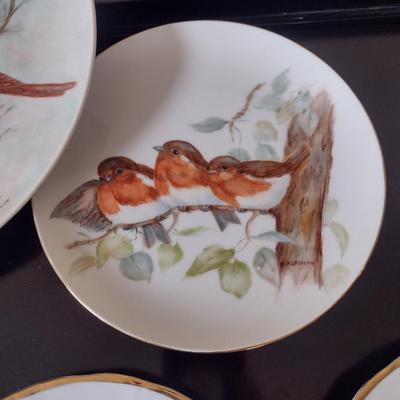 Collection of Bird Themed Plates- Mostly Hand Painted- Assorted Sizes