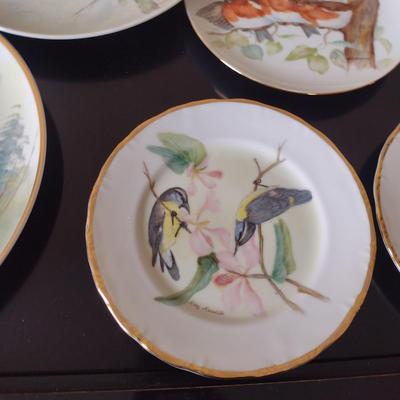 Collection of Bird Themed Plates- Mostly Hand Painted- Assorted Sizes