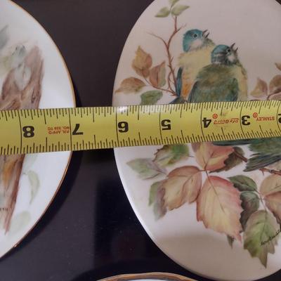 Collection of Bird Themed Plates- Mostly Hand Painted- Assorted Sizes