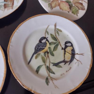 Collection of Bird Themed Plates- Mostly Hand Painted- Assorted Sizes