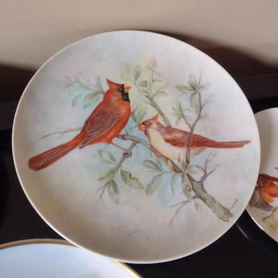 Collection of Bird Themed Plates- Mostly Hand Painted- Assorted Sizes