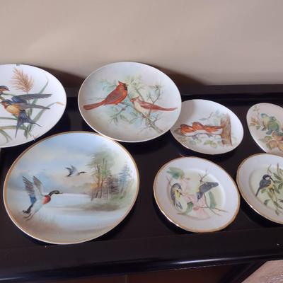 Collection of Bird Themed Plates- Mostly Hand Painted- Assorted Sizes