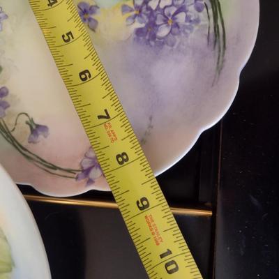 Collection of Hand Painted Plates with Floral Designs- Assorted Sizes