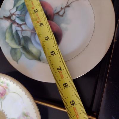 Collection of Hand Painted Plates- Mostly Fruits and Floral Designs- Assorted Sizes