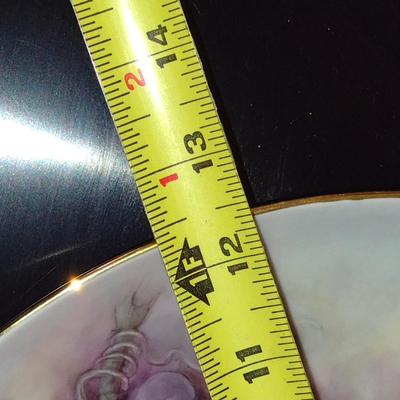 Pair of Large, Hand Painted China Plates