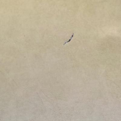 Contempo Frames Inc. Mid-Century Modern yellow vinyl chrome frame chair