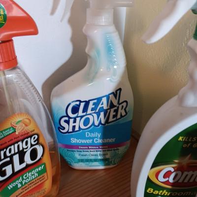 HOUSEHOLD CLEANERS