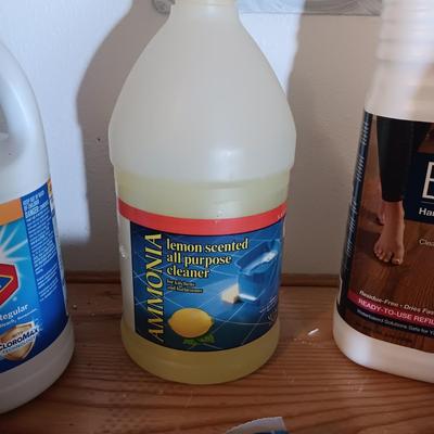HOUSEHOLD CLEANING PRODUCTS