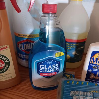 HOUSEHOLD CLEANING PRODUCTS