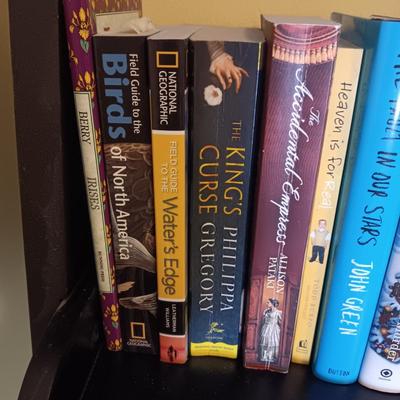 LADDER SHELF WITH MANY ROAD MAPS, DVD'S (UNDERSTANDING THE UNIVERSE) & A VARIETY OF BOOKS