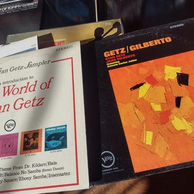 Collection of Vinyl Albums (Set #1)