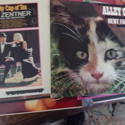 Collection of Vinyl Albums (Set #6)