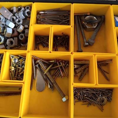 HARDWARE IN PORTABLE ORGANIZER PLUS EXTRA HARDWARE