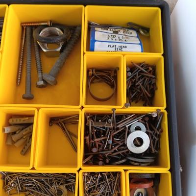 HARDWARE IN PORTABLE ORGANIZER PLUS EXTRA HARDWARE