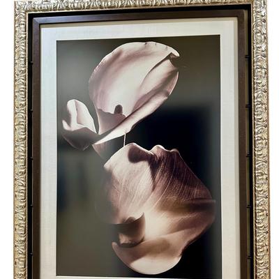 Art - Hallway - Print "Two Callas" by Imogen Cunningham