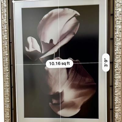 Art - Hallway - Print "Two Callas" by Imogen Cunningham