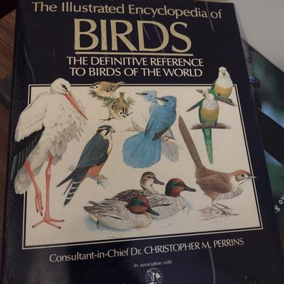 Assortment of Books- Bird Watching and Identification