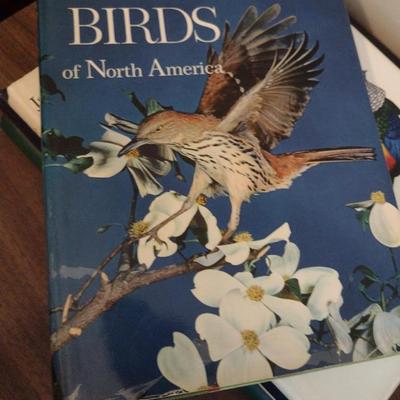 Assortment of Books- Bird Watching and Identification