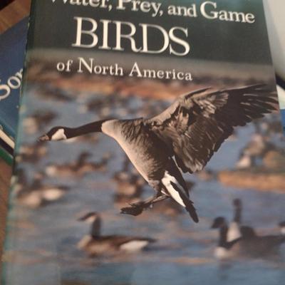 Assortment of Books- Bird Watching and Identification