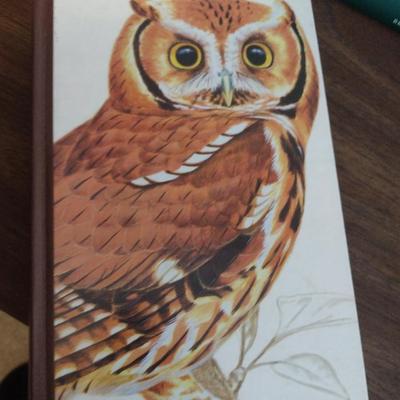 Assortment of Books- Bird Watching and Identification