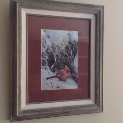 'Cardinal in the Snow' Print by Robert Bateman- Framed Under Glass- Approx 16" x 18 1/2"