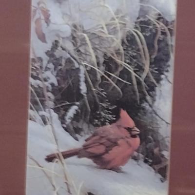 'Cardinal in the Snow' Print by Robert Bateman- Framed Under Glass- Approx 16" x 18 1/2"