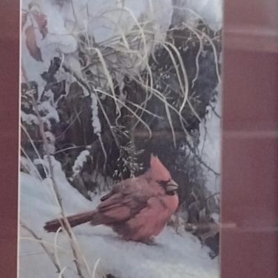 'Cardinal in the Snow' Print by Robert Bateman- Framed Under Glass- Approx 16" x 18 1/2"