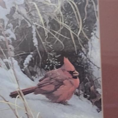 'Cardinal in the Snow' Print by Robert Bateman- Framed Under Glass- Approx 16" x 18 1/2"